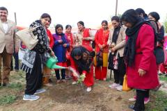 activities8